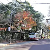 深大寺（バス）