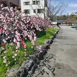 富士山本宮浅間大社 第一駐車場