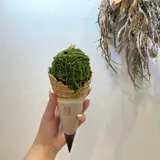 茶々工房 ふたつめ