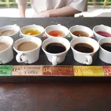 Segara Windhu Coffee Plantation