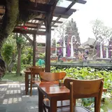 Lotus Cafe