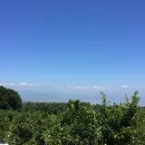 おはようございます( ´ ▽ ` )ﾉ  良いですよー🎶  佐賀県鹿島市大字音成戊3310ー2