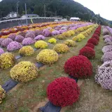 矢倉沢