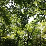 千葉ニュータウン中央駅