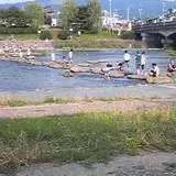 賀茂川の飛び石