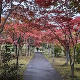 平岡樹芸センター みどりーむ