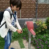 お富ちゃん広場