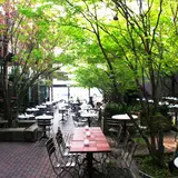 The Park