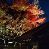 天山湯治郷