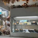 ちーずとけーき。