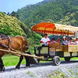 京馬車