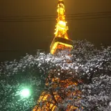 タワシタ