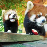 大牟田市動物園