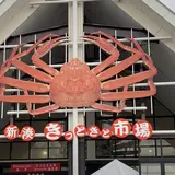 新湊きっときと市場