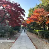 建仁寺