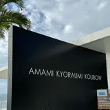 奄美きょら海工房