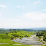 扇田