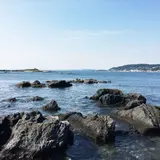 天神島臨海自然教育園