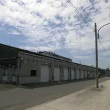 泉佐野漁協青空市場