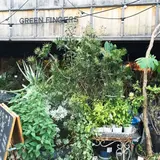 GREEN FINGERS