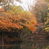 震生湖