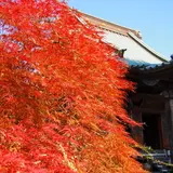 龍峰寺