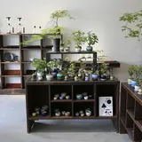 彩盆の間（さいほんのま）