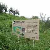 世界のりんご園