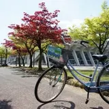 ふるさとを偲ぶ散歩道