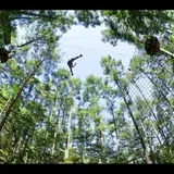 フォレストアドベンチャー　MT.FUJI