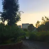 中目黒公園
