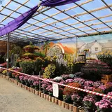 臥竜公園