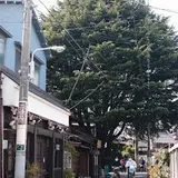 みかどパン店