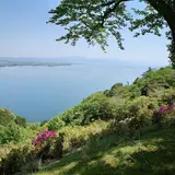 奥琵琶湖パークウェイ