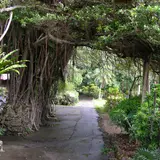 ユンヌ楽園
