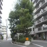 楠木大明神