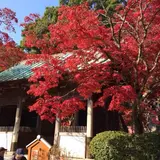 東山寺