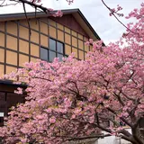 踊り子温泉会館