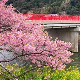 舘橋（静岡県賀茂郡河津町）