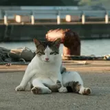 田代島