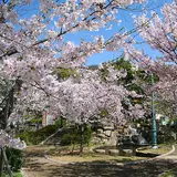 岡本南(櫻守)公園