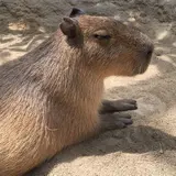 神戸どうぶつ王国