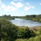 大池