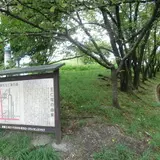 王仁塚