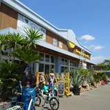 Revys Thomas レヴィ・トーマス