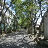 男神社