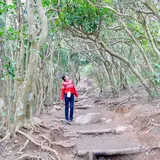 糸島のトトロの森