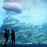 仙台うみの杜水族館
