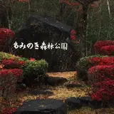 もみのき森林公園