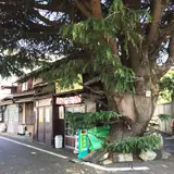 谷中のまちなみ